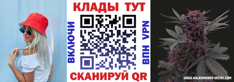 Где можно купить наркотики Кириши Бошки Шишки  Галлюциногенные грибы  АМФЕТАМИН  Меф мяу мяу  Гашиш  Кокаин 