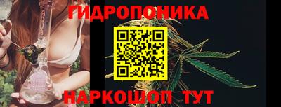 кокс Кинель