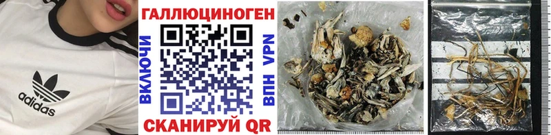 Псилоцибиновые грибы прущие грибы  Кириши 