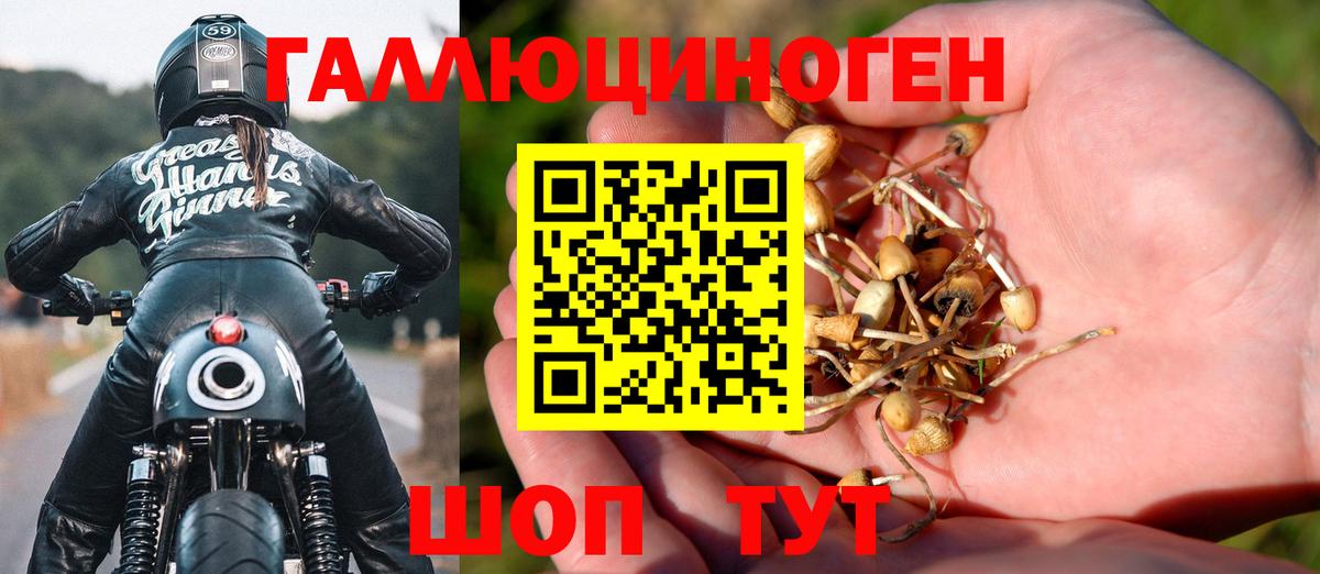 Галлюциногенные грибы GOLDEN TEACHER  Вход с VPN  Кириши 