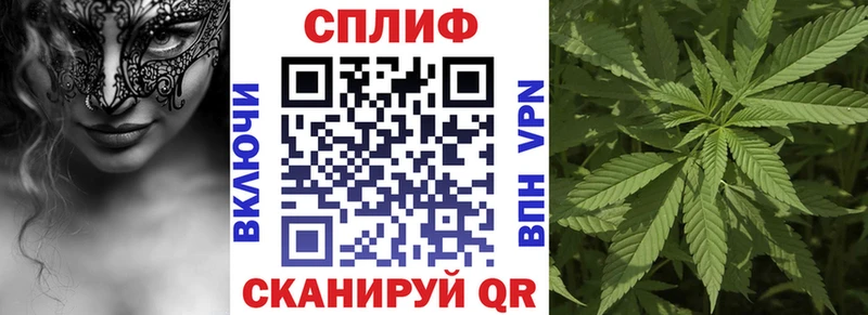 Конопля VHQ  что такое   Кириши 